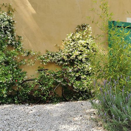 Lavand'Ange Et Spa Sarrians Εξωτερικό φωτογραφία