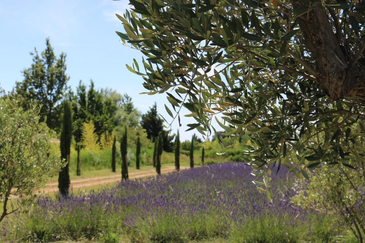 Lavand'Ange Et Spa Sarrians Εξωτερικό φωτογραφία