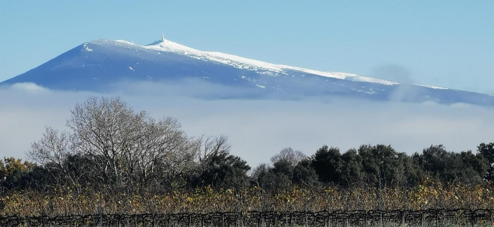 Lavand'Ange Et Spa Sarrians Εξωτερικό φωτογραφία