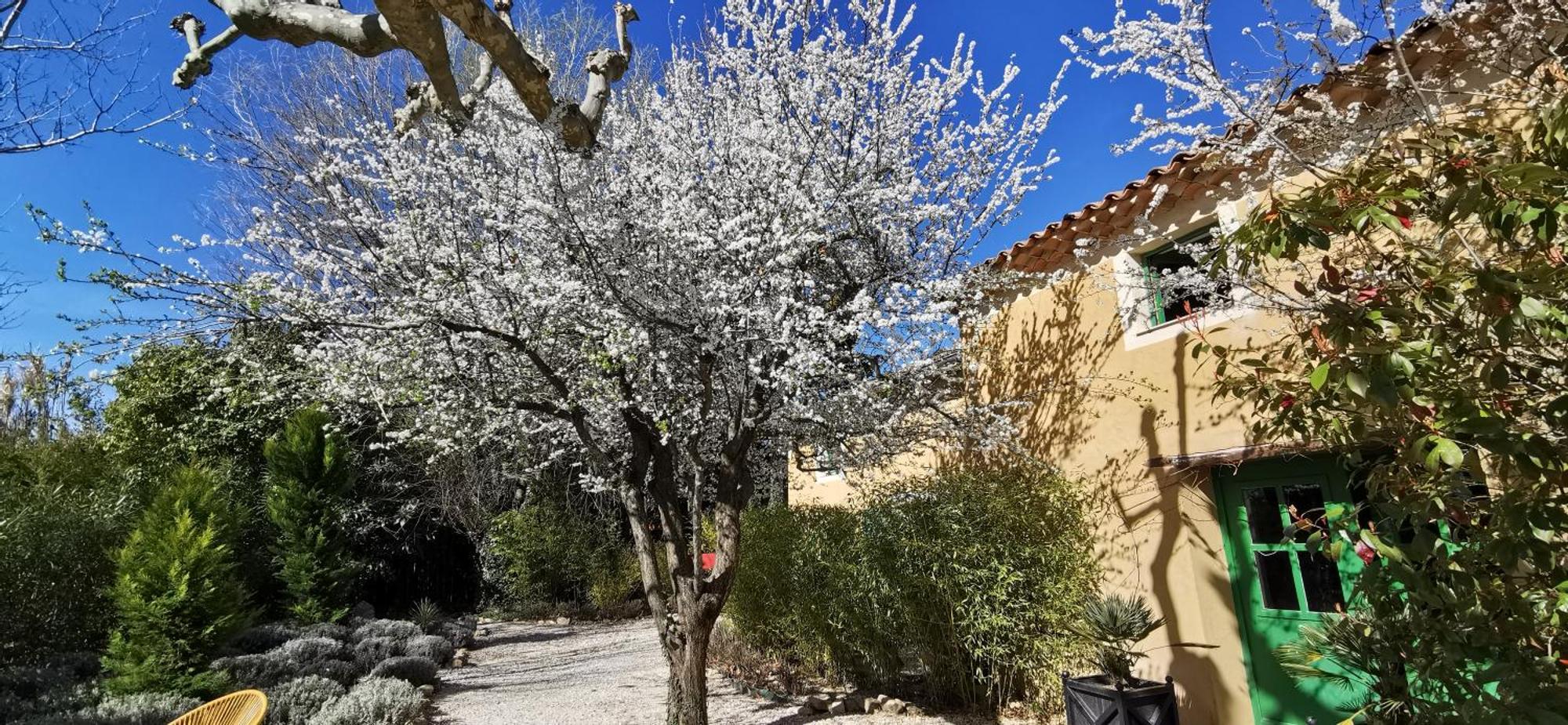 Lavand'Ange Et Spa Sarrians Εξωτερικό φωτογραφία