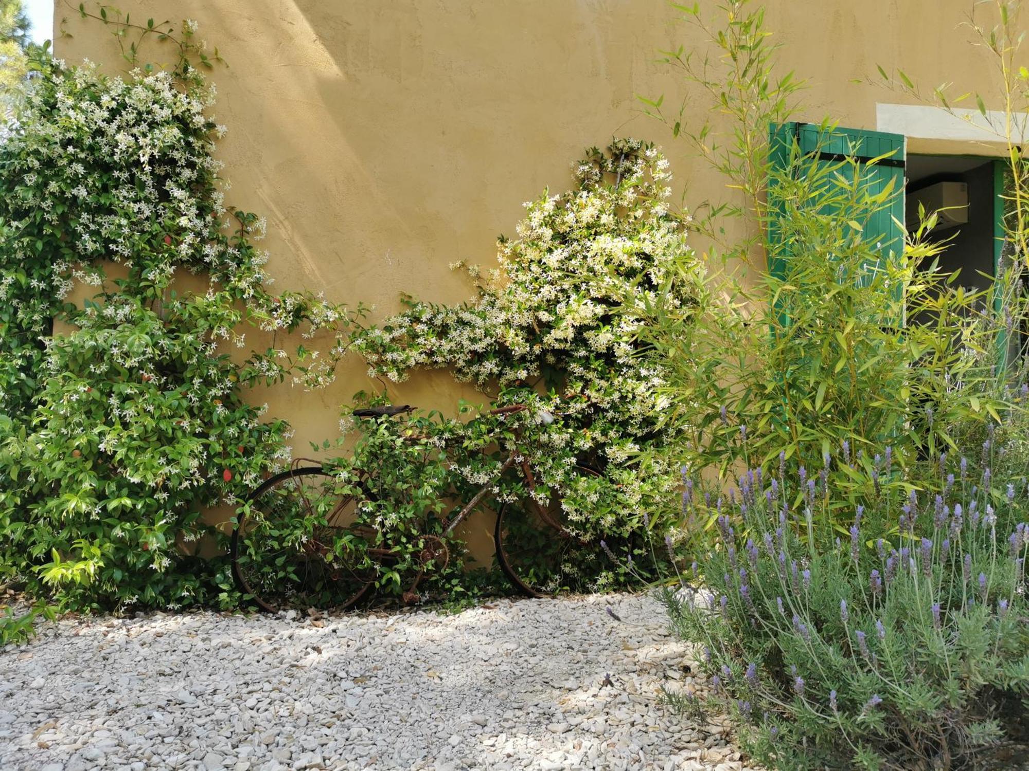 Lavand'Ange Et Spa Sarrians Εξωτερικό φωτογραφία