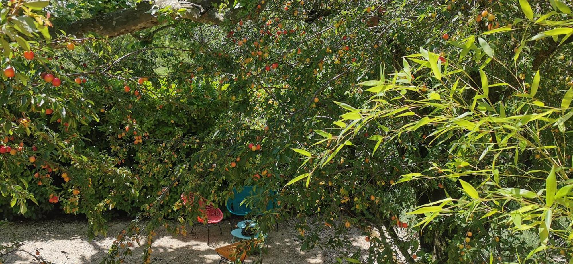 Lavand'Ange Et Spa Sarrians Εξωτερικό φωτογραφία